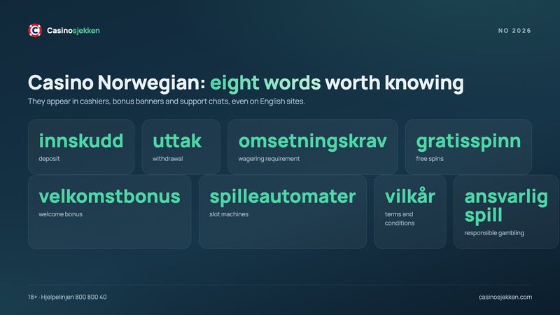 Online casino Norway glossary: innskudd, uttak, omsetningskrav, gratisspinn and other Norwegian casino words in English